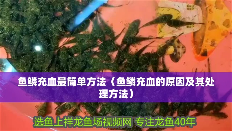 魚鱗充血最簡單方法（魚鱗充血的原因及其處理方法）
