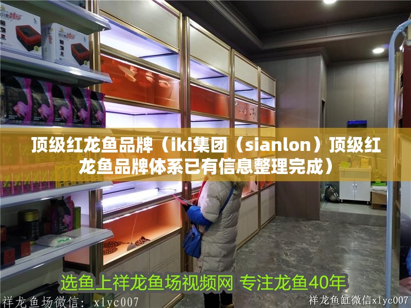 頂級紅龍魚品牌（iki集團（sianlon）頂級紅龍魚品牌體系已有信息整理完成）