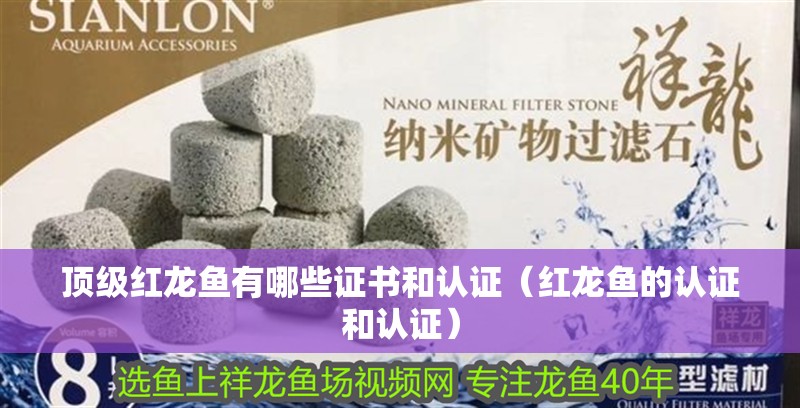 頂級紅龍魚有哪些證書和認證（紅龍魚的認證和認證）