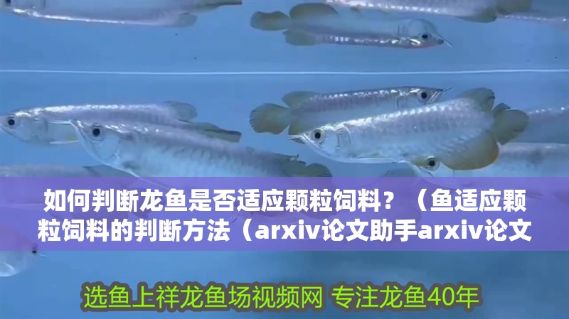 如何判斷龍魚是否適應顆粒飼料？（魚適應顆粒飼料的判斷方法（arxiv論文助手arxiv論文助手））