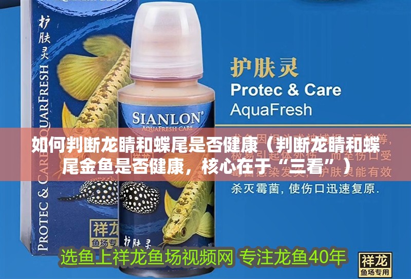 如何判斷龍睛和蝶尾是否健康（判斷龍睛和蝶尾金魚(yú)是否健康，核心在于“三看”）