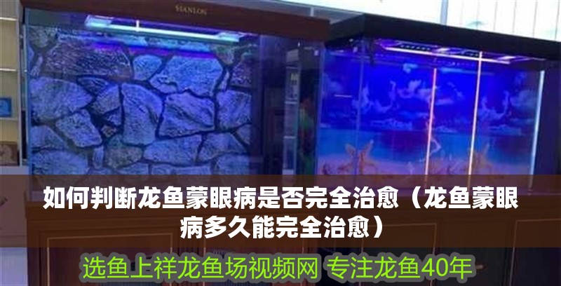 如何判斷龍魚蒙眼病是否完全治愈（龍魚蒙眼病多久能完全治愈）