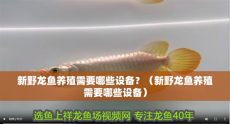 新野龍魚養殖需要哪些設備？（新野龍魚養殖需要哪些設備）