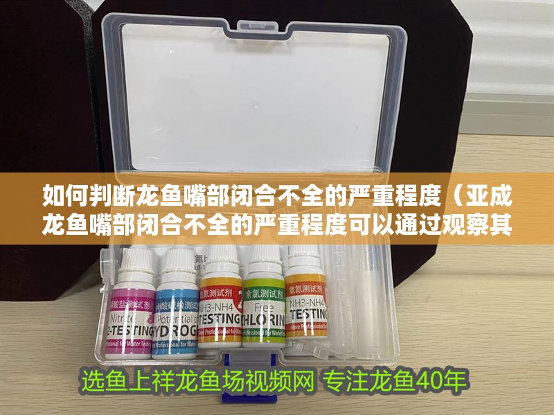 如何判斷龍魚嘴部閉合不全的嚴(yán)重程度（亞成龍魚嘴部閉合不全的嚴(yán)重程度可以通過觀察其行為和外觀來判斷）