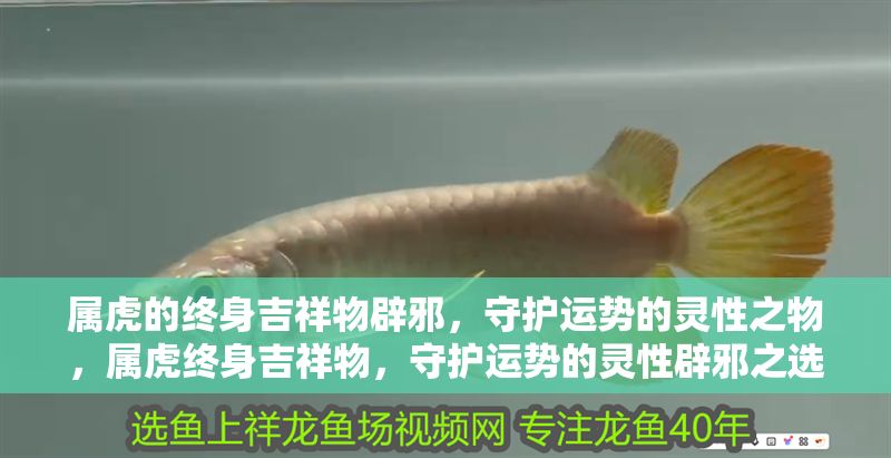 屬虎的終身吉祥物辟邪，守護運勢的靈性之物，屬虎終身吉祥物，守護運勢的靈性辟邪之選