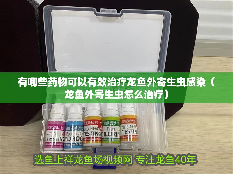 有哪些藥物可以有效治療龍魚外寄生蟲感染（龍魚外寄生蟲怎么治療）