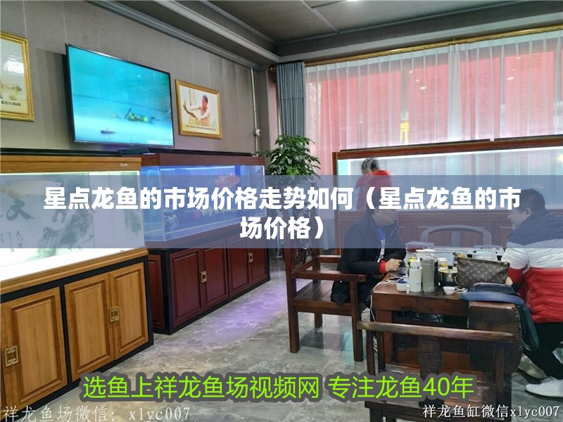 星點龍魚的市場價格走勢如何（星點龍魚的市場價格）
