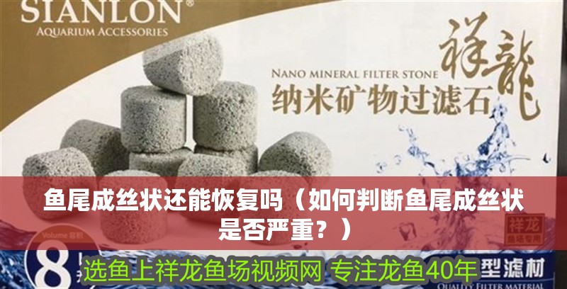 魚尾成絲狀還能恢復(fù)嗎（如何判斷魚尾成絲狀是否嚴(yán)重？）