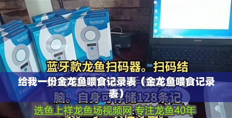 給我一份金龍魚喂食記錄表（金龍魚喂食記錄表）