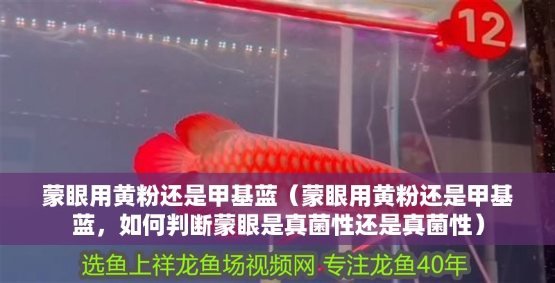 蒙眼用黃粉還是甲基藍（蒙眼用黃粉還是甲基藍，如何判斷蒙眼是真菌性還是真菌性）