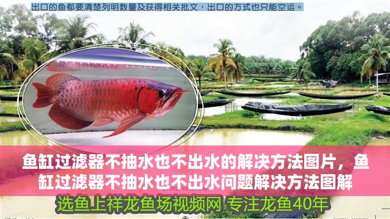魚缸過濾器不抽水也不出水的解決方法圖片，魚缸過濾器不抽水也不出水問題解決方法圖解