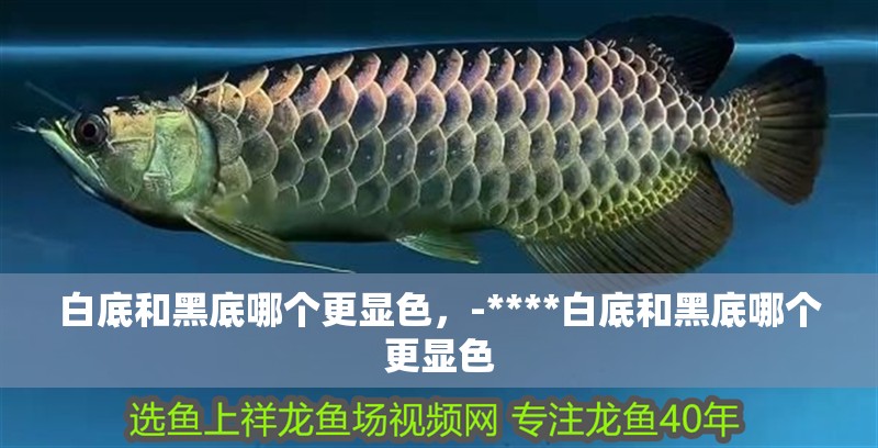 白底和黑底哪個(gè)更顯色，-****白底和黑底哪個(gè)更顯色