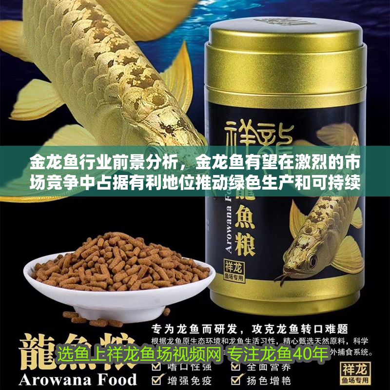 金龍魚行業前景分析，金龍魚有望在激烈的市場競爭中占據有利地位推動綠色生產和可持續發展