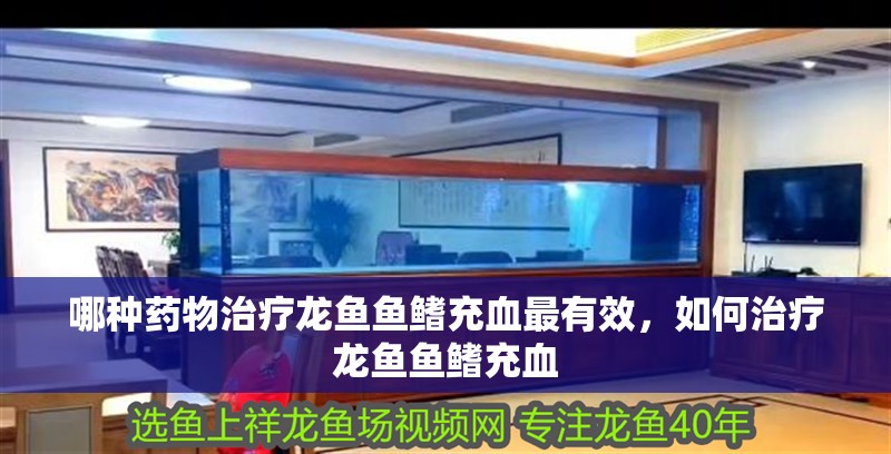 哪種藥物治療龍魚魚鰭充血最有效，如何治療龍魚魚鰭充血