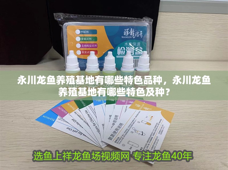 永川龍魚養殖基地有哪些特色品種，永川龍魚養殖基地有哪些特色及種？