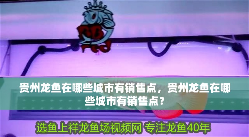 貴州龍魚在哪些城市有銷售點，貴州龍魚在哪些城市有銷售點？