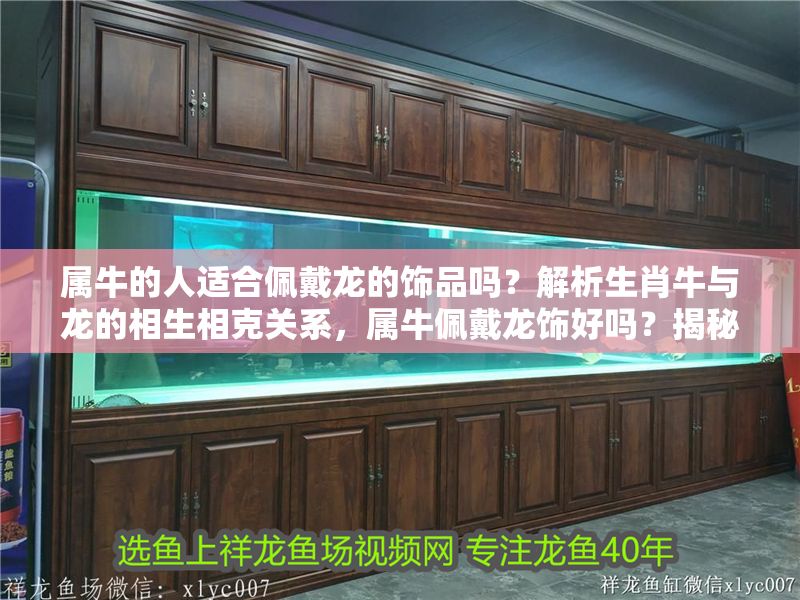 屬牛的人適合佩戴龍的飾品嗎？解析生肖牛與龍的相生相克關(guān)系，屬牛佩戴龍飾好嗎？揭秘生肖牛與龍的相生相克之道