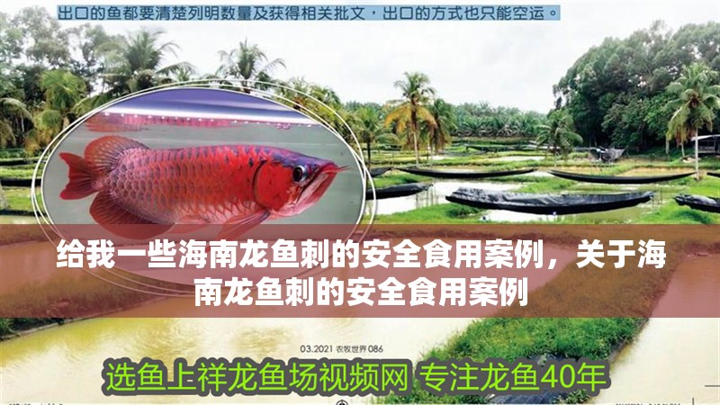給我一些海南龍魚刺的安全食用案例，關(guān)于海南龍魚刺的安全食用案例