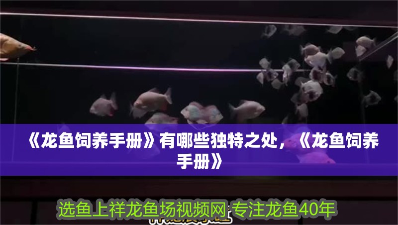 《龍魚飼養手冊》有哪些獨特之處，《龍魚飼養手冊》