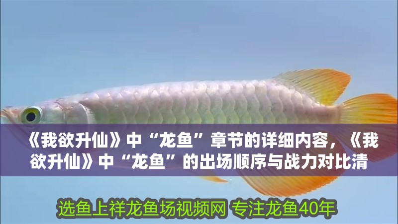 《我欲升仙》中“龍魚(yú)”章節(jié)的詳細(xì)內(nèi)容，《我欲升仙》中“龍魚(yú)”的出場(chǎng)順序與戰(zhàn)力對(duì)比清單？