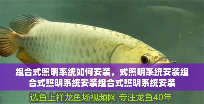 組合式照明系統(tǒng)如何安裝，式照明系統(tǒng)安裝組合式照明系統(tǒng)安裝組合式照明系統(tǒng)安裝