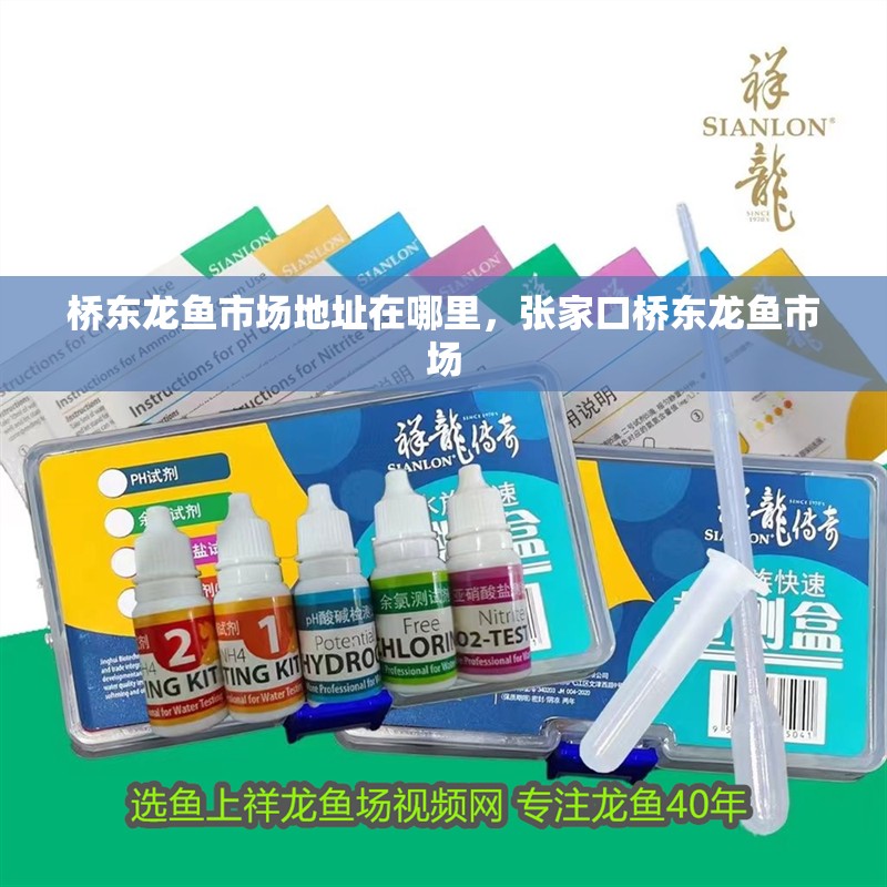 橋東龍魚市場地址在哪里，張家口橋東龍魚市場 橋東龍魚市場地址在哪里，張家口橋東龍魚市場 龍魚百科