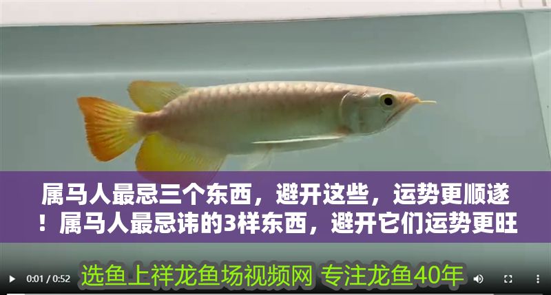 屬馬人最忌三個東西，避開這些，運(yùn)勢更順?biāo)欤亳R人最忌諱的3樣?xùn)|西，避開它們運(yùn)勢更旺！