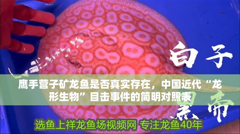 鷹手營子礦龍魚是否真實存在，中國近代“龍形生物”目擊事件的簡明對照表