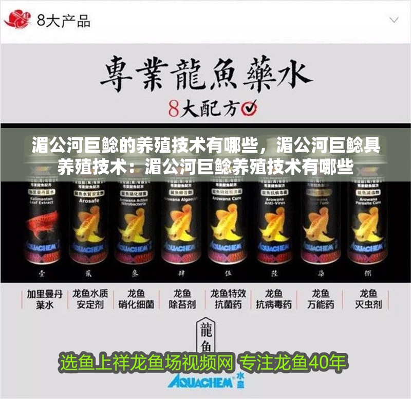 湄公河巨鯰的養殖技術有哪些，湄公河巨鯰具養殖技術：湄公河巨鯰養殖技術有哪些