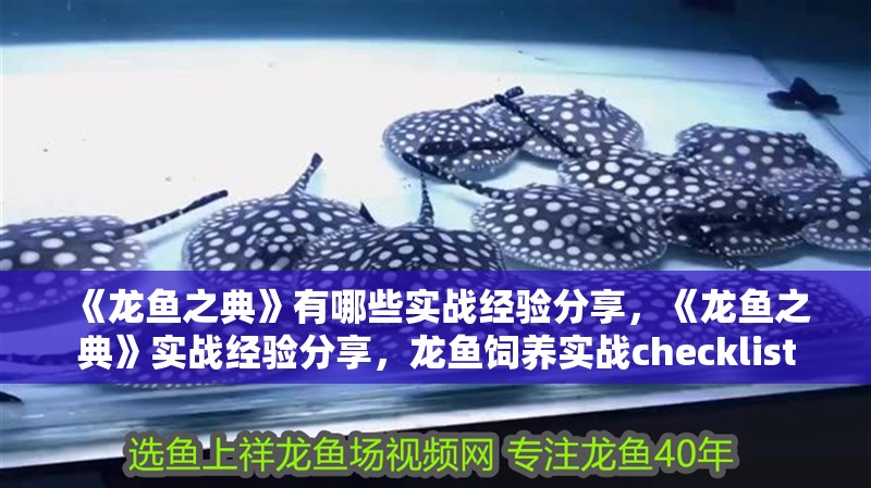 《龍魚之典》有哪些實戰經驗分享，《龍魚之典》實戰經驗分享，龍魚飼養實戰checklist