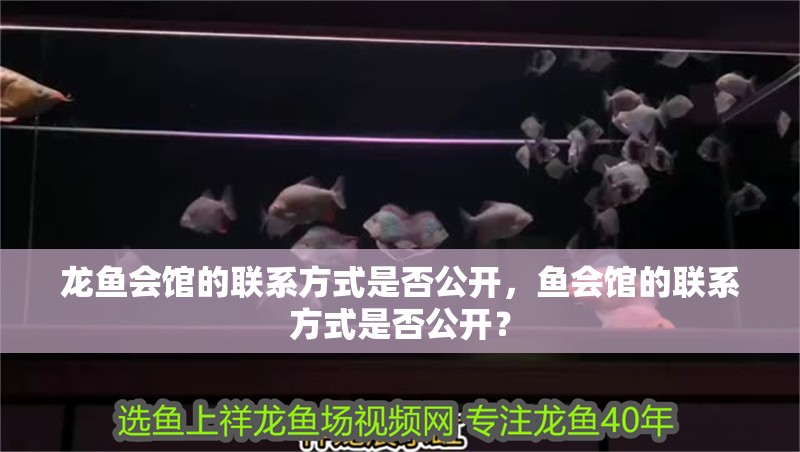 龍魚會館的聯系方式是否公開，魚會館的聯系方式是否公開？