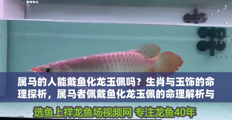 屬馬的人能戴魚化龍玉佩嗎？生肖與玉飾的命理探析，屬馬者佩戴魚化龍玉佩的命理解析與生肖宜忌