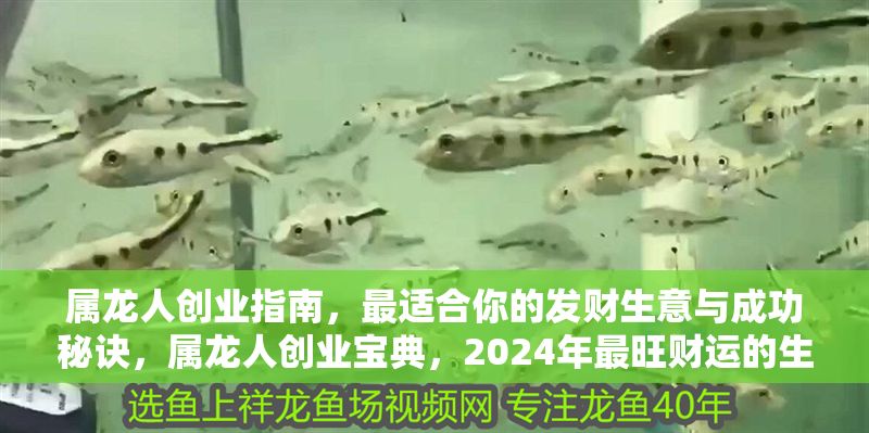 屬龍人創業指南，最適合你的發財生意與成功秘訣，屬龍人創業寶典，2024年最旺財運的生意選擇與逆襲秘訣