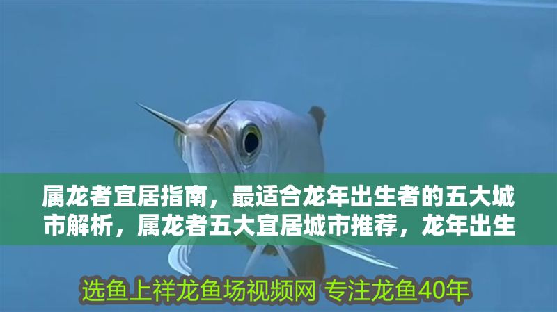 屬龍者宜居指南，最適合龍年出生者的五大城市解析，屬龍者五大宜居城市推薦，龍年出生者的最佳居住地解析