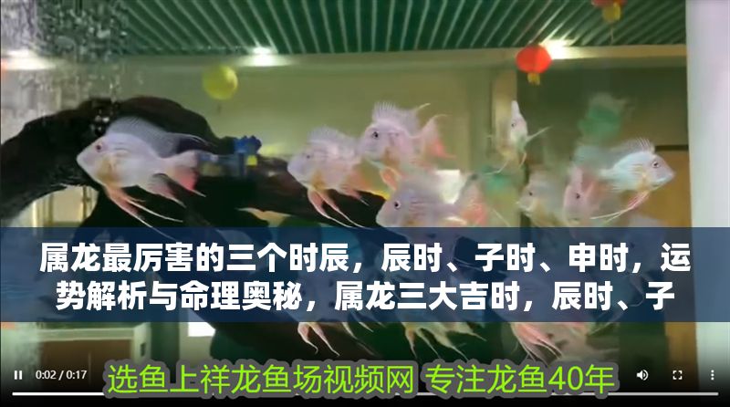 屬龍最厲害的三個時辰，辰時、子時、申時，運勢解析與命理奧秘，屬龍三大吉時，辰時、子時、申時運勢解析與命理玄機 屬龍最厲害的三個時辰，辰時、子時、申時，運勢解析與命理奧秘，屬龍三大吉時，辰時、子時、申時運勢解析與命理玄機 龍魚百科 第1張