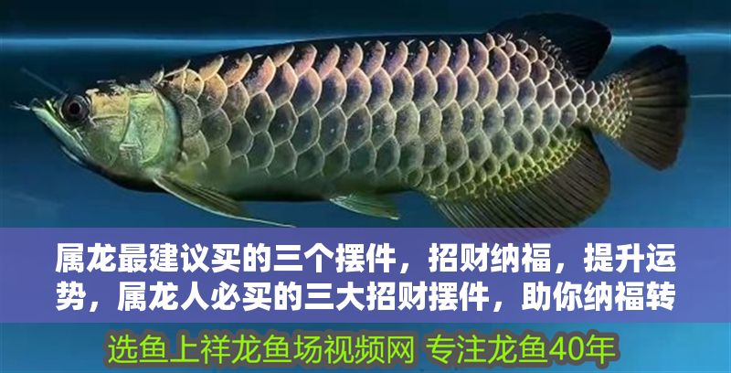 屬龍最建議買的三個擺件,招財納福,提升運勢,屬龍人必買的三大招財擺件,助你納福轉運旺運勢 龍魚百科 第1張 屬龍最建議買的三個擺件,招財納福,提升運勢,屬龍人必買的三大招財擺件,助你納福轉運旺運勢 屬龍最建議買的三個擺件,招財納福,提升運勢,屬龍人必買的三大招財擺件,助你納福轉運旺運勢 龍魚百科 第1張