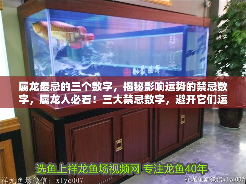 屬龍最忌的三個(gè)數(shù)字，揭秘影響運(yùn)勢的禁忌數(shù)字，屬龍人必看！三大禁忌數(shù)字，避開它們運(yùn)勢飆升！