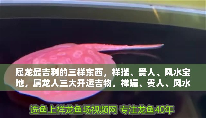 屬龍最吉利的三樣東西，祥瑞、貴人、風水寶地，屬龍人三大開運吉物，祥瑞、貴人、風水寶地助你龍騰四海