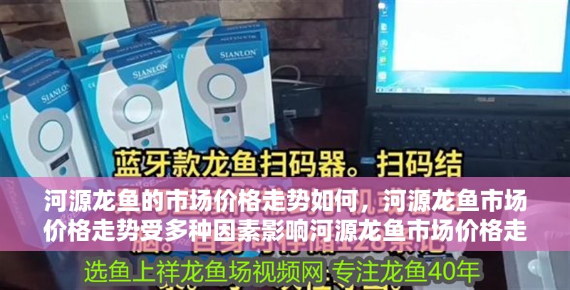 河源龍魚的市場價格走勢如何，河源龍魚市場價格走勢受多種因素影響河源龍魚市場價格走勢