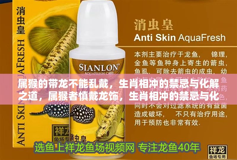 屬猴的帶龍不能亂戴，生肖相沖的禁忌與化解之道，屬猴者慎戴龍飾，生肖相沖的禁忌與化解方法全解析