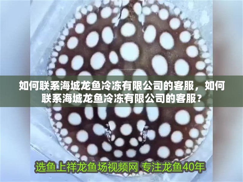 如何聯(lián)系海城龍魚(yú)冷凍有限公司的客服，如何聯(lián)系海城龍魚(yú)冷凍有限公司的客服？