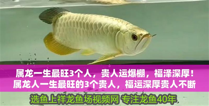 屬龍一生最旺3個人，貴人運爆棚，福澤深厚！屬龍人一生最旺的3個貴人，福運深厚貴人不斷！