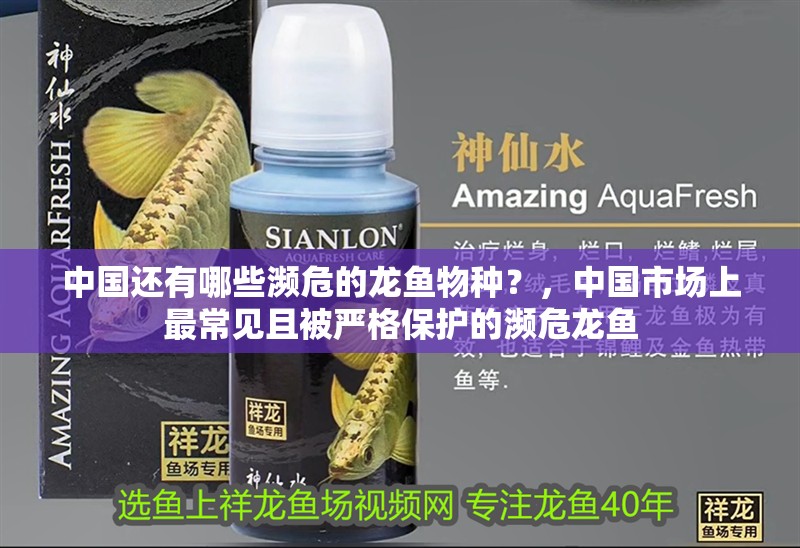 中國還有哪些瀕危的龍魚物種？，中國市場上最常見且被嚴(yán)格保護(hù)的瀕危龍魚