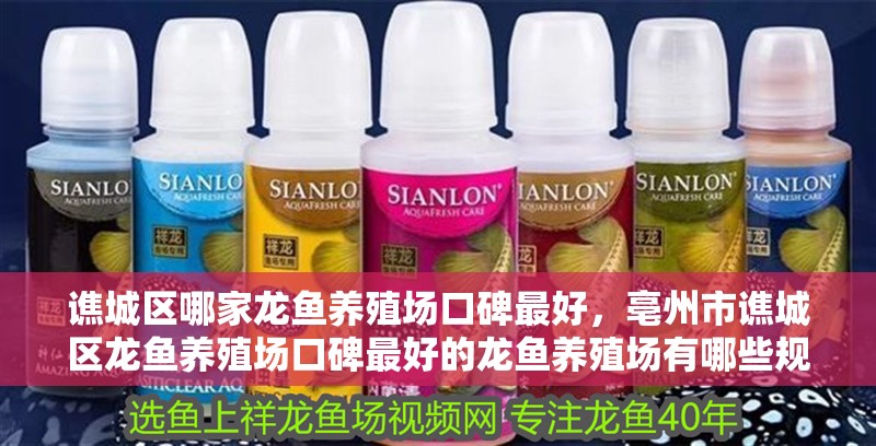 譙城區哪家龍魚養殖場口碑最好，亳州市譙城區龍魚養殖場口碑最好的龍魚養殖場有哪些規模