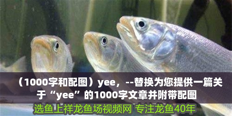 （1000字和配圖）yee，--替換為您提供一篇關于“yee”的1000字文章并附帶配圖
