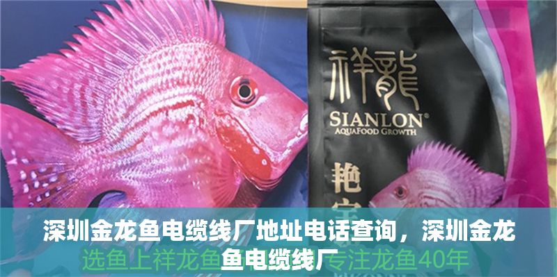深圳金龍魚電纜線廠地址電話查詢，深圳金龍魚電纜線廠
