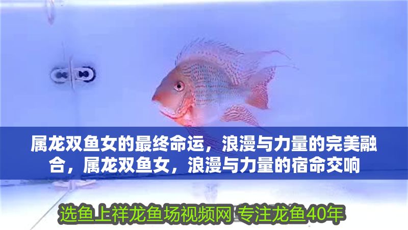 屬龍雙魚女的最終命運(yùn)，浪漫與力量的完美融合，屬龍雙魚女，浪漫與力量的宿命交響