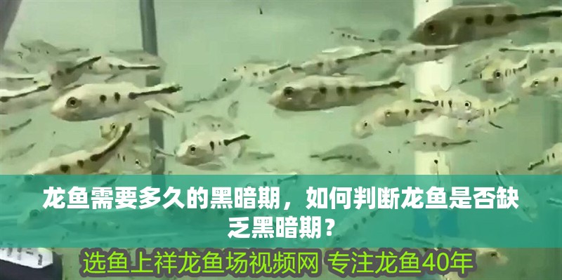 龍魚(yú)需要多久的黑暗期，如何判斷龍魚(yú)是否缺乏黑暗期？