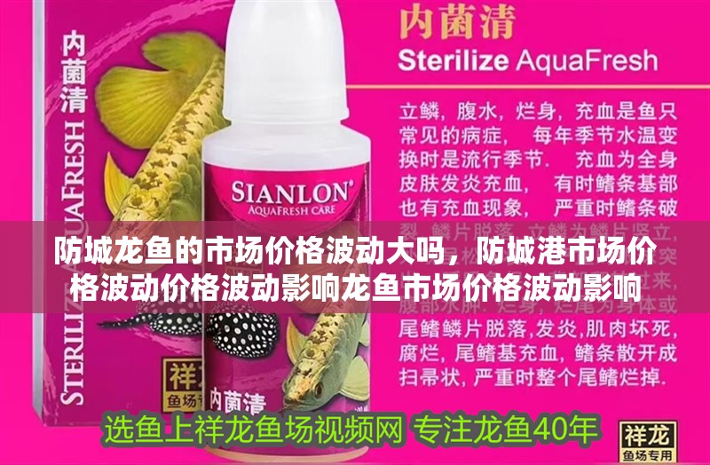 <strong><mark>防城</mark></strong>龍魚的市場價格波動大嗎，<strong><mark>防城</mark></strong>港市場價格波動價格波動影響龍魚市場價格波動影響