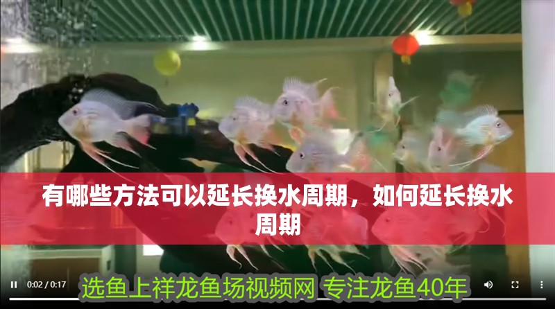 有哪些方法可以延長換水周期，如何延長換水周期